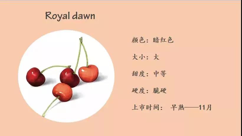 Royal dawn