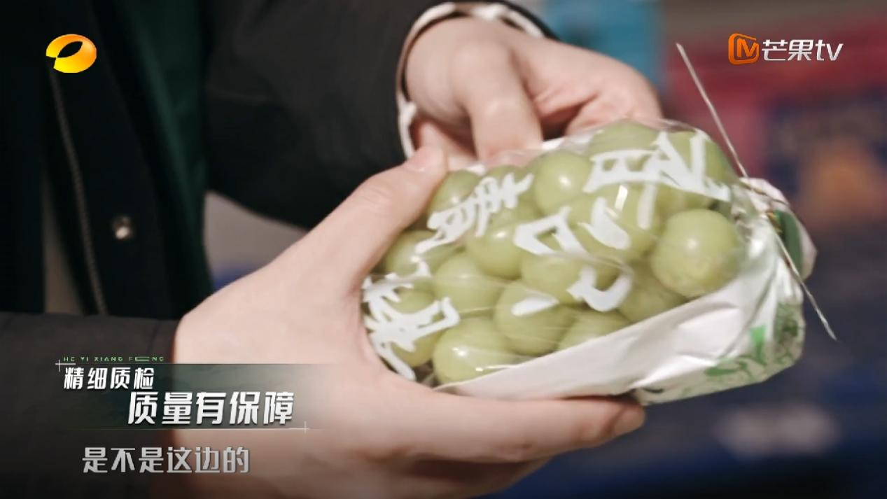 水果连锁品牌